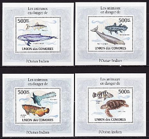 Коморы, 2009, Рыбы Индийского океана, 4 люксблока